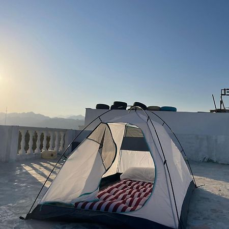 Tentania دهب المظهر الخارجي الصورة