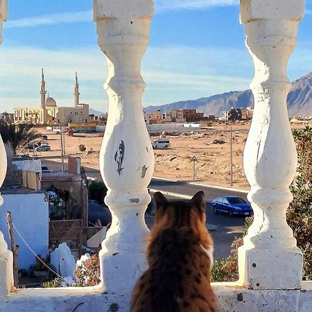 Tentania دهب المظهر الخارجي الصورة