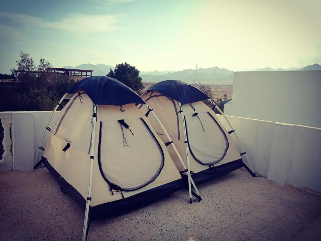 Tentania دهب المظهر الخارجي الصورة