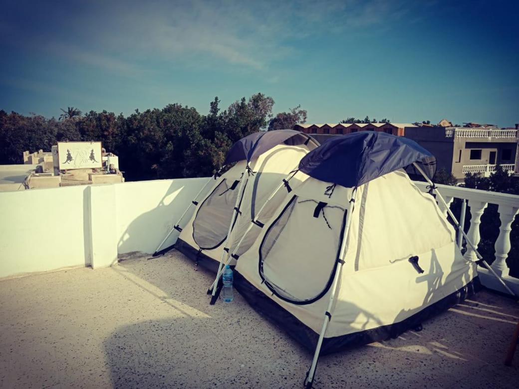 Tentania دهب المظهر الخارجي الصورة