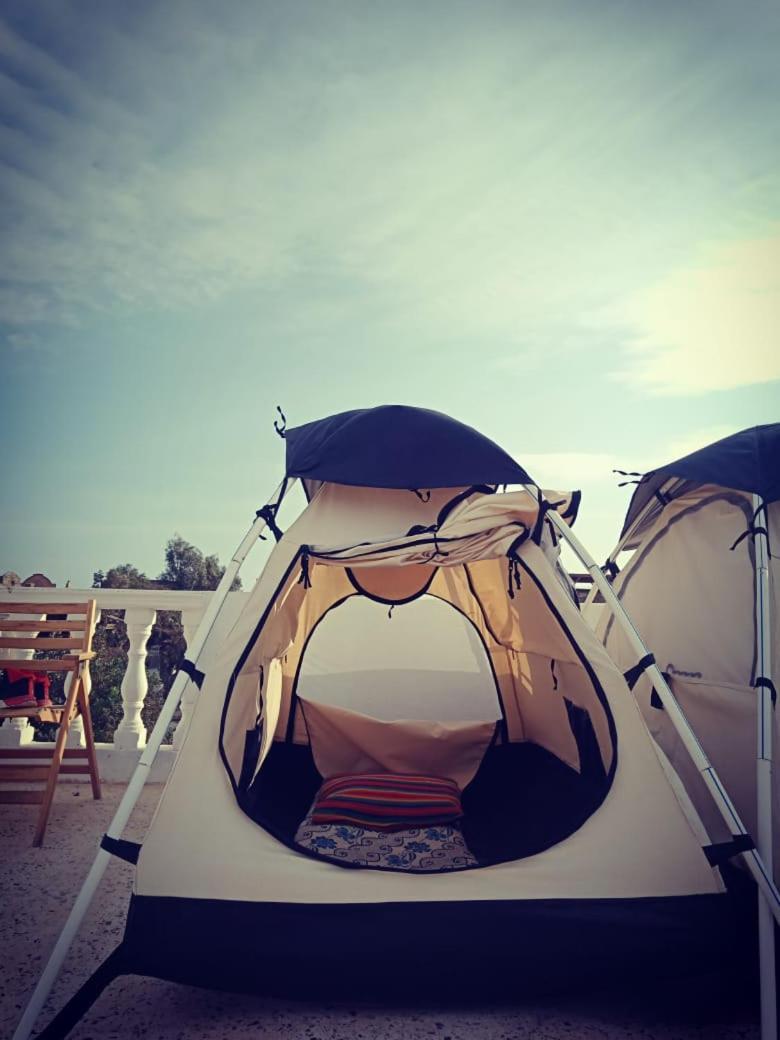 Tentania دهب المظهر الخارجي الصورة